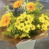 Vision of Yellows